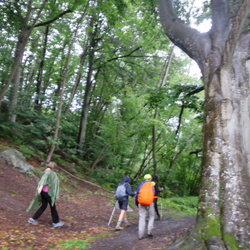 Entre Rhodon et Yvette