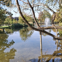 Marche de la ligue contre le cancer