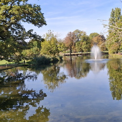 Marche de la ligue contre le cancer 