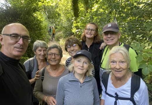 Marche de la ligue contre le cancer 
