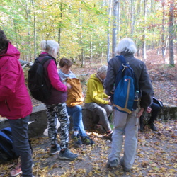Grosrouvre - Forêt de Rambouillet