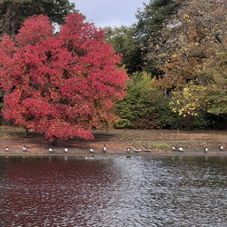 MN du 20 octobre 2025