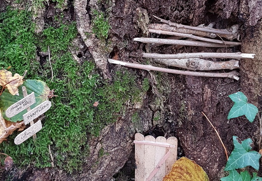 Forêt de l'Isle-Adam, lisière Sud 