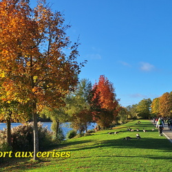De Vigneux à Montgeron