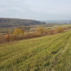 De Mantes-la-Jolie à Bonnières-sur-Seine