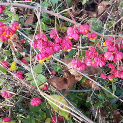De Mantes-la-Jolie à Bonnières-sur-Seine