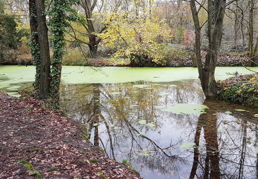 Bois de Vincennes, Ile Fanac