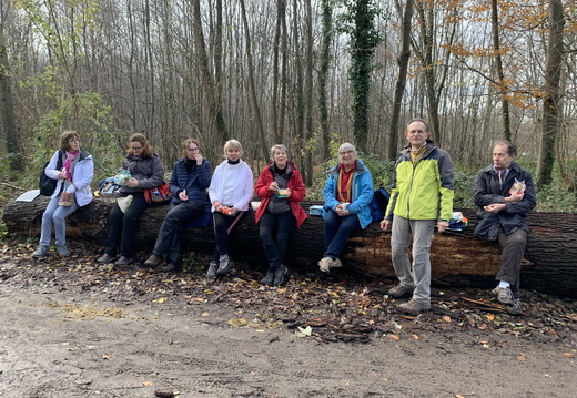 Les oratoires de la forêt de Saint-Germain 