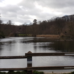 Le sentier de la Malmaison (92)