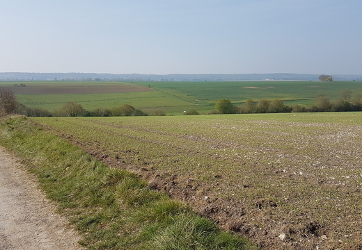 Villepreux (78)