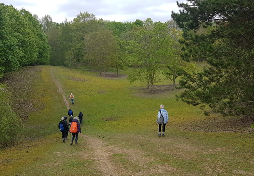 Cergy (95)