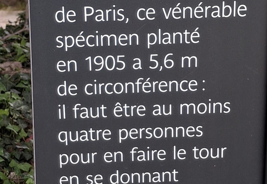 Pique-Nique Marche Nordique