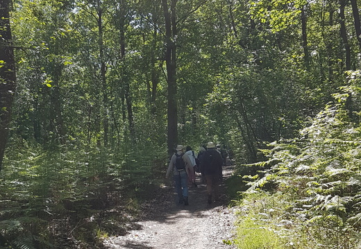 Champs et forêts en pays houdanais 