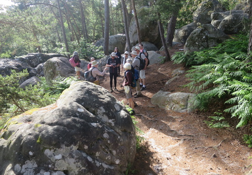 Un tour en forêt de Fontainebleau