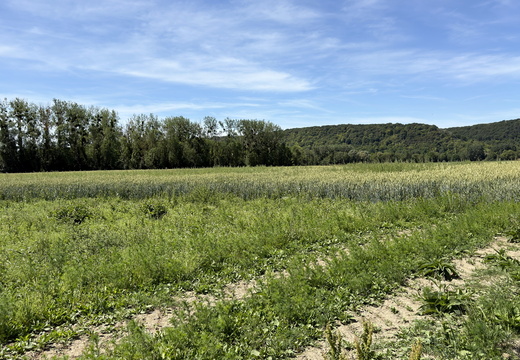 De Bonnières à Vernon